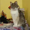 Отзыв от Инга Литвинова